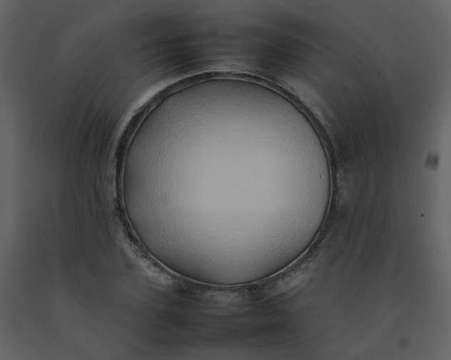 X0000092270931200710051336