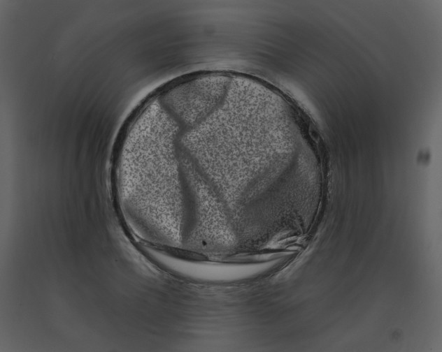 X0000092270932200710051336