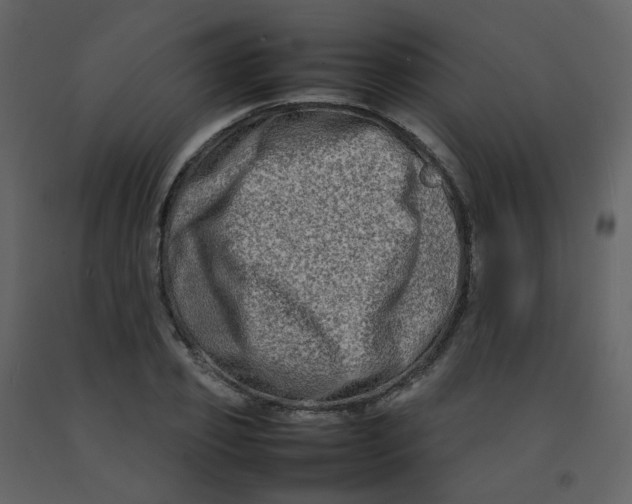 X0000092270933200710051336