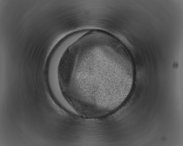 X0000092270934200710051336