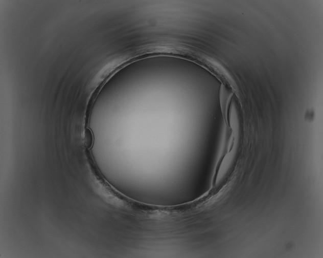 X0000092270938200710051336