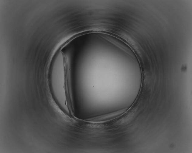 X0000092270939200710051336