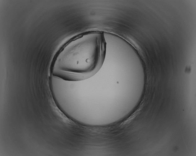 X0000092270940200710051336