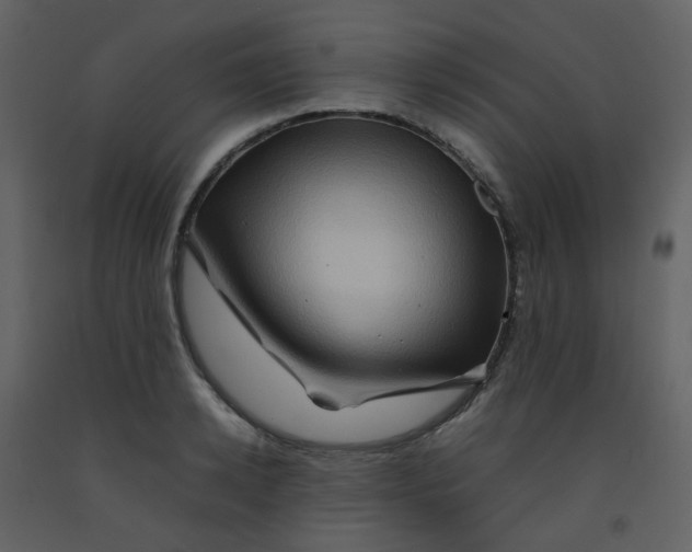 X0000092270942200710051336