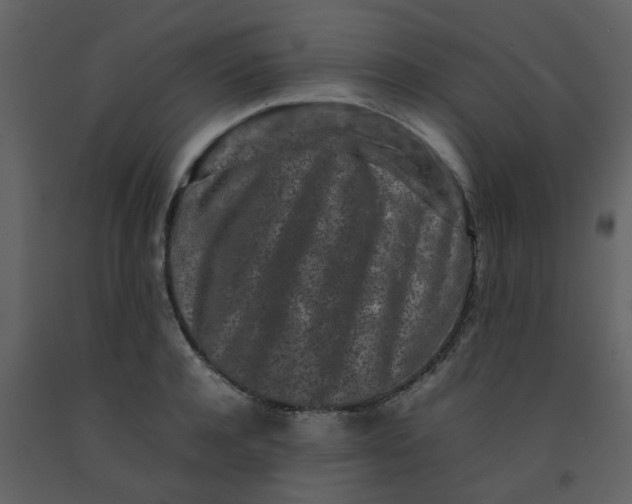 X0000092270944200710051336