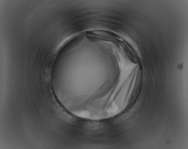 X0000092270945200710051336