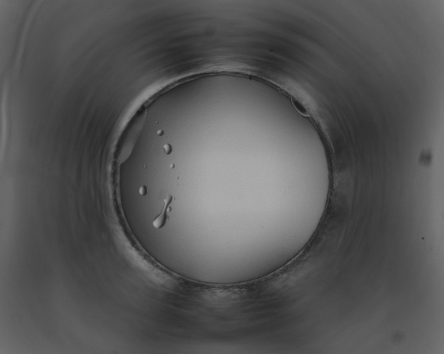 X0000092270947200710051336