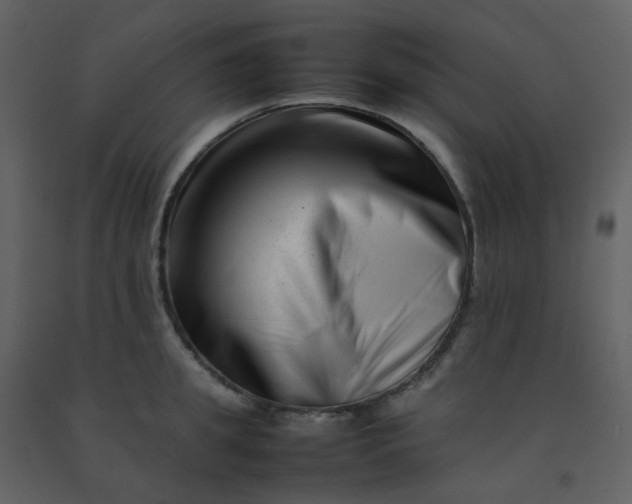 X0000092270949200710051336