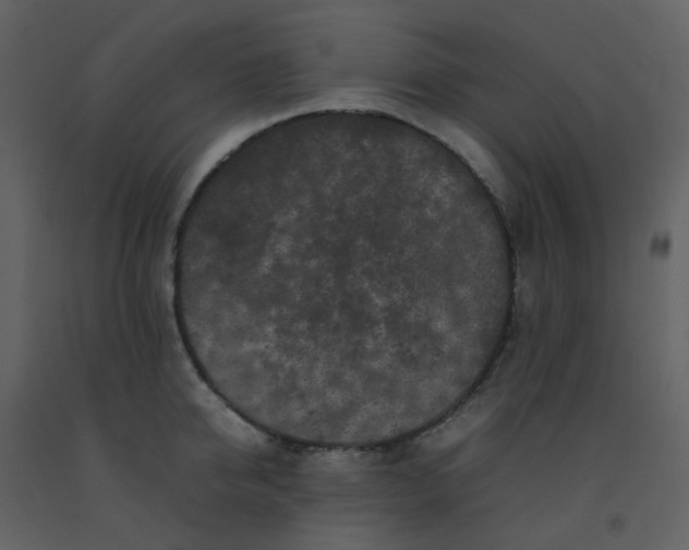 X0000092270950200710051336