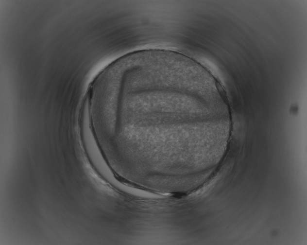 X0000092270952200710051336