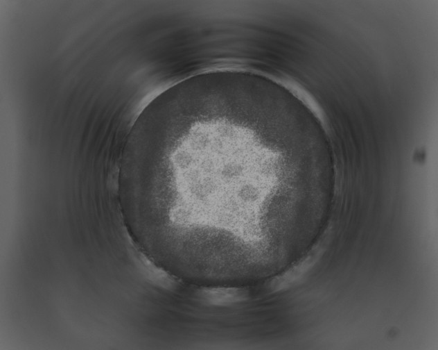 X0000092270953200710051336