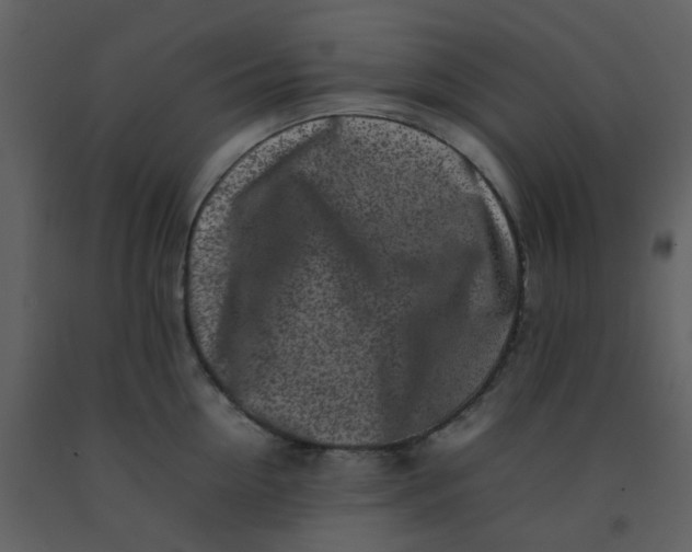 X0000092270954200710051336