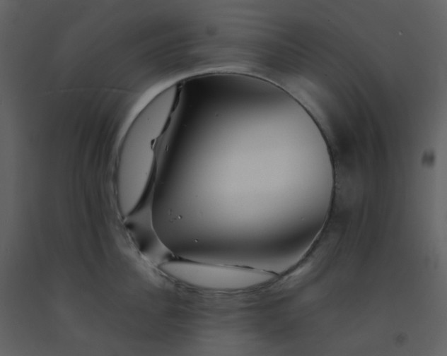 X0000092270956200710051336