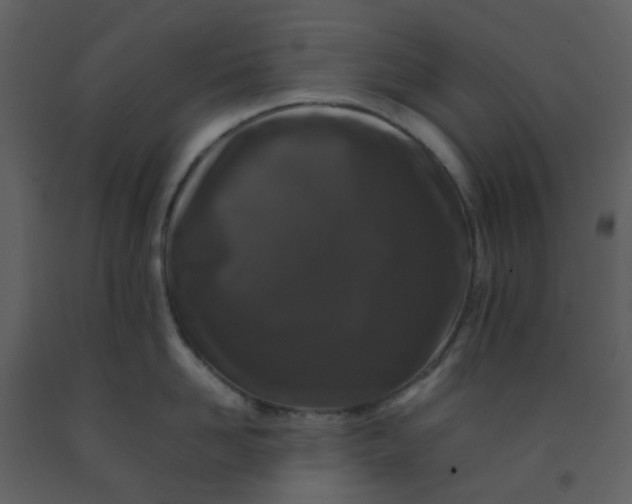 X0000092270958200710051336