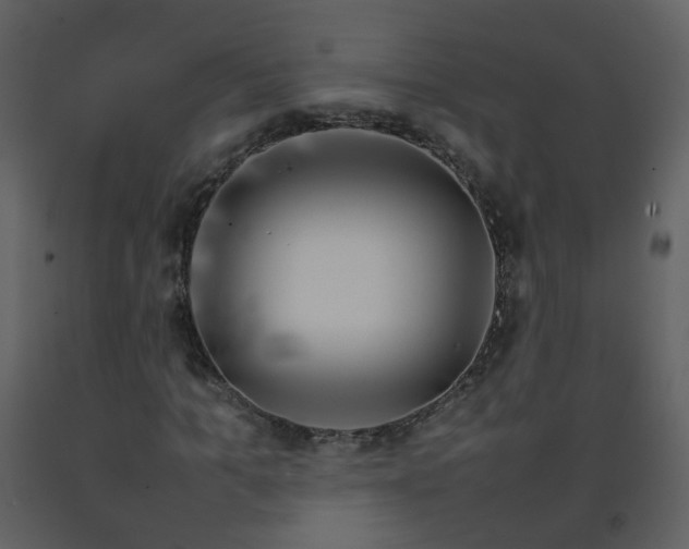 X0000092270965200710051336