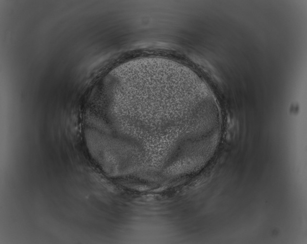 X0000092270966200710051336