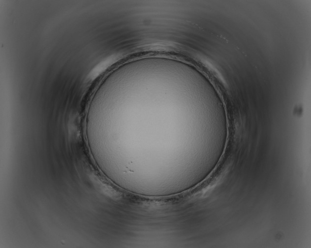 X0000092270970200710051336