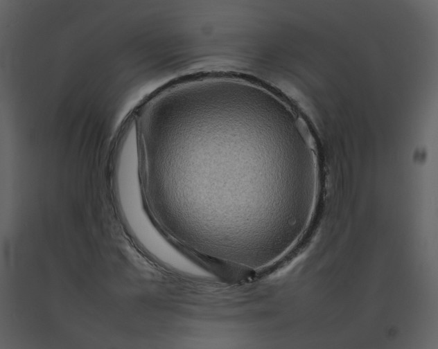 X0000092270973200710051336