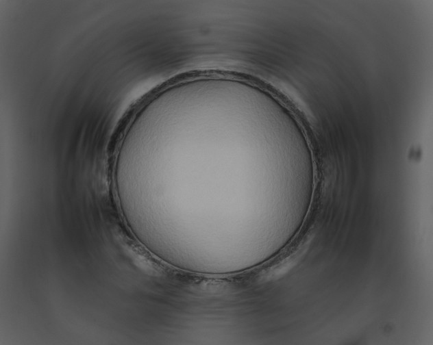 X0000092270974200710051336