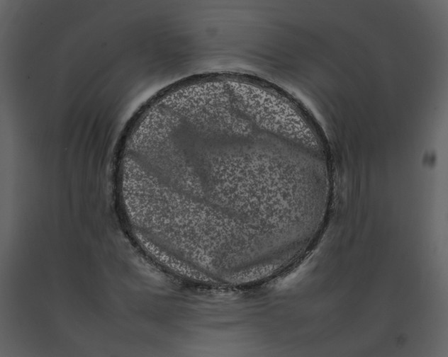 X0000092270975200710051336