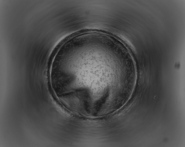 X0000092270976200710051336