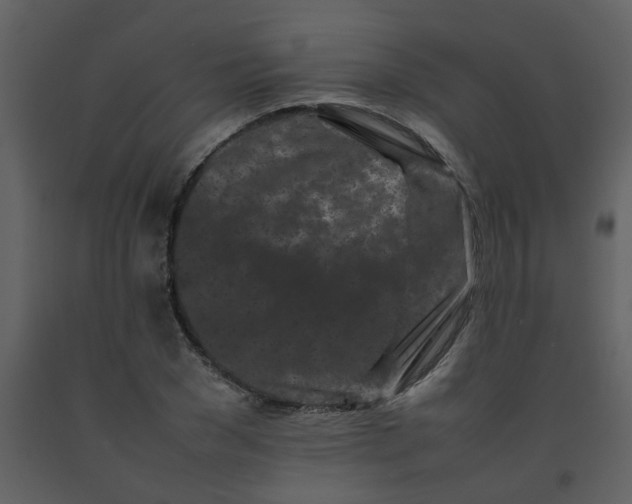 X0000092270977200710051336