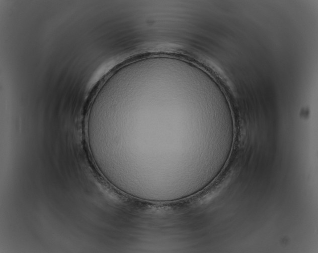 X0000092270978200710051336