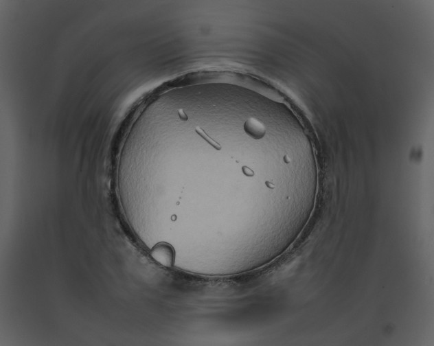 X0000092270979200710051336