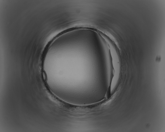 X0000092270981200710051336