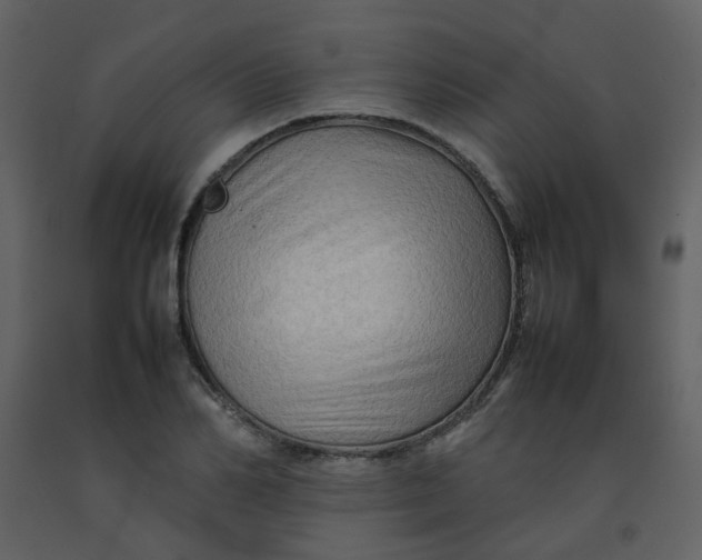 X0000092270982200710051336