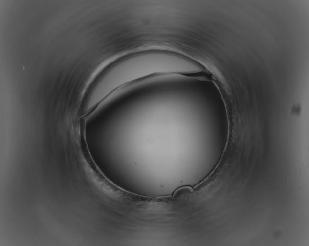 X0000092270984200710051336