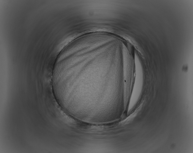 X0000092270985200710051336