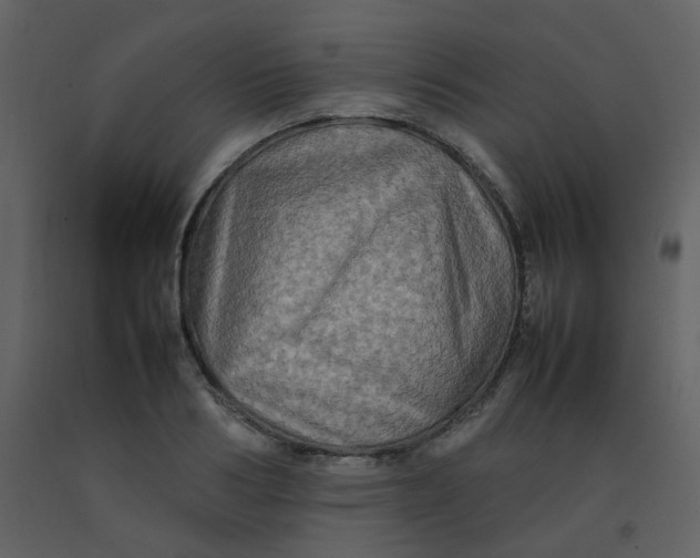 X0000092270986200710051336