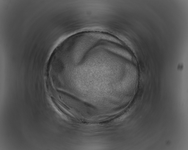 X0000092270989200710051336