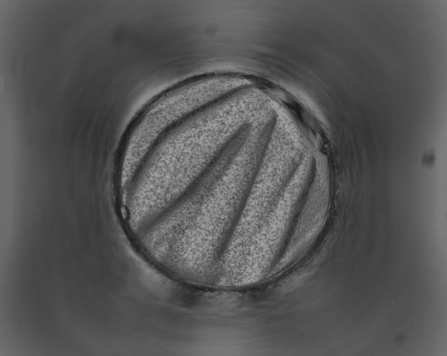 X0000092270991200710051336