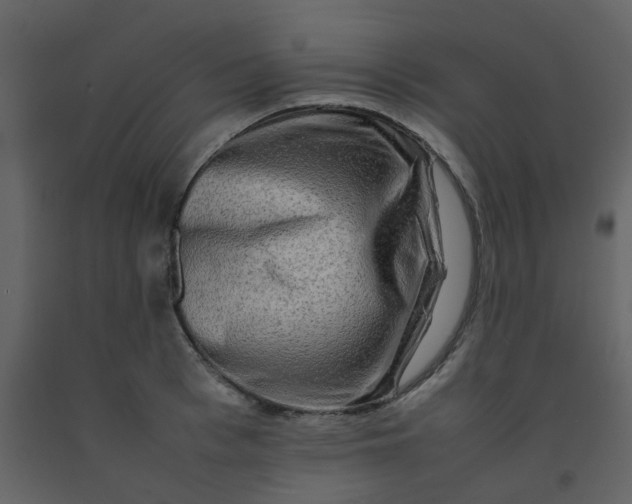 X0000092270993200710051336