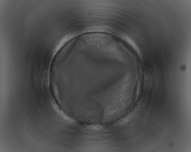 X0000092270994200710051335