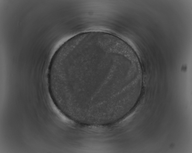 X0000092270995200710051335