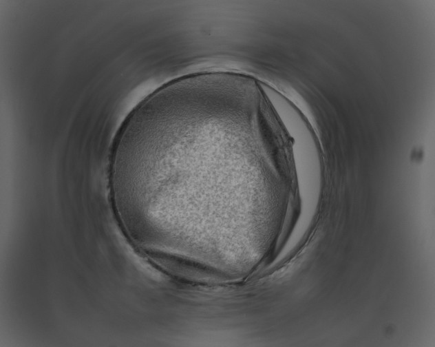 X0000092270997200710051335