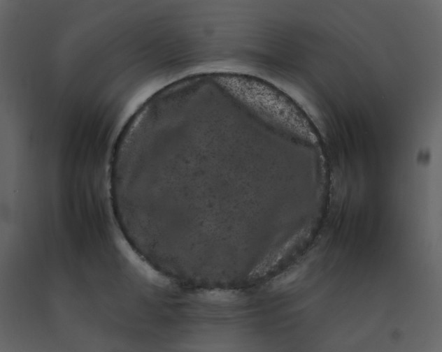 X0000092270998200710051335