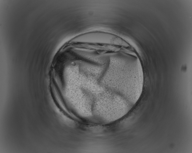 X0000092270999200710051335