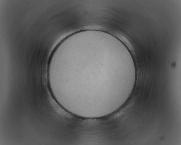 X0000092271000200710051335