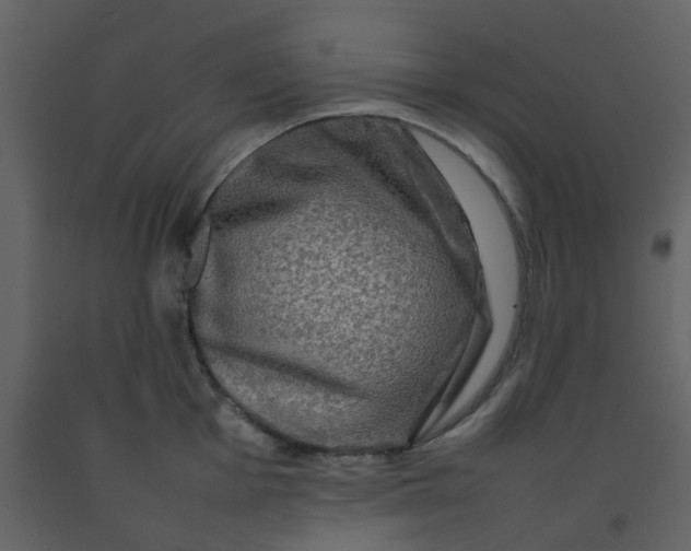 X0000092271001200710051335