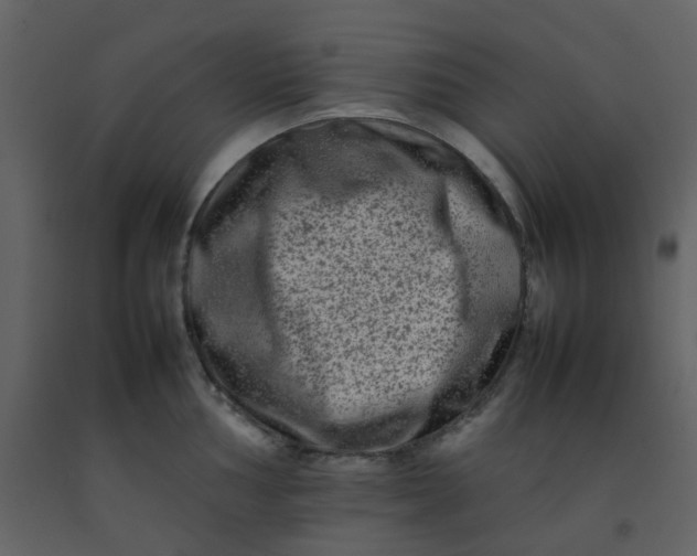 X0000092271002200710051335