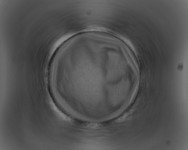 X0000092271003200710051335