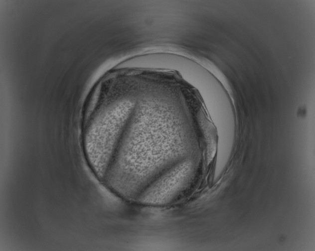 X0000092271005200710051335