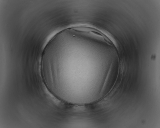 X0000092271006200710051335