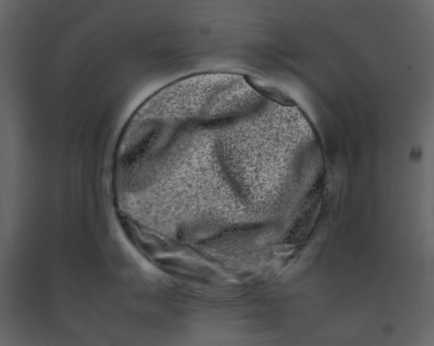 X0000092271007200710051335