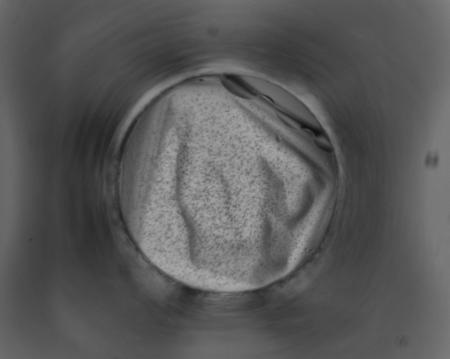 X0000092271008200710051335