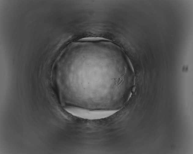 X0000092271009200710051335